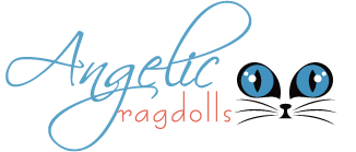 Angelic Ragdolls